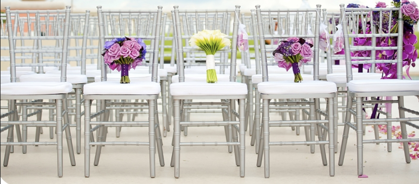 Premium Silver Chiavari Chairs